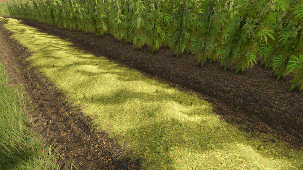 Riverbend Springs – Cannabis Edition V1.1 thumbnail 5